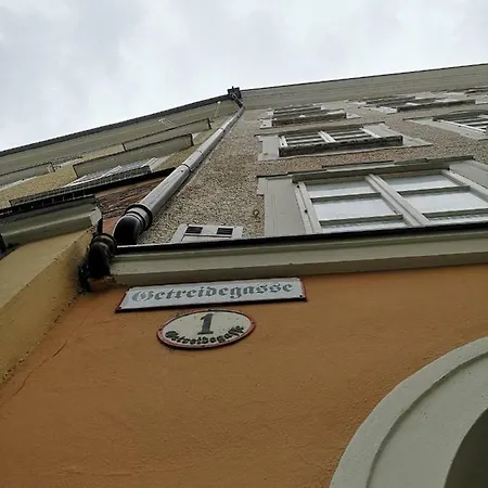 Elefant Family Business 酒店 萨尔茨堡