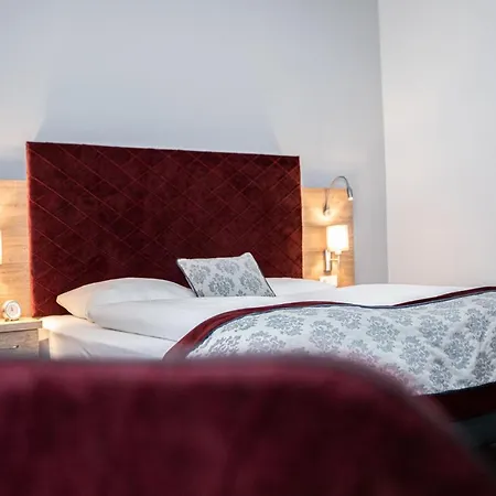 Elefant Family Business 2* 萨尔茨堡